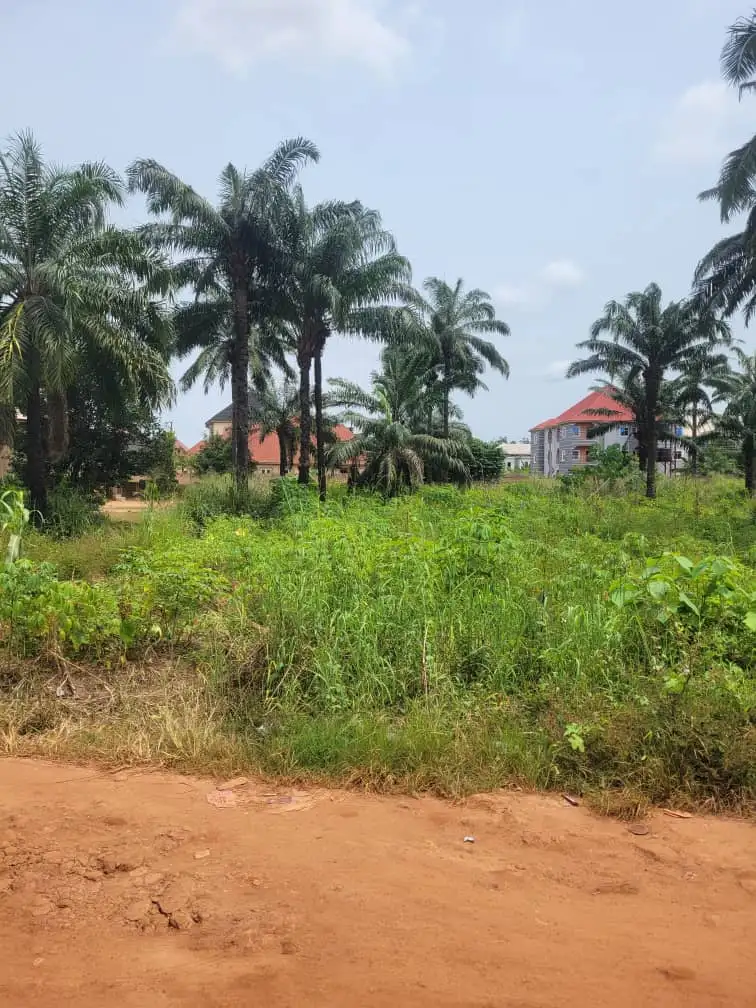 Simon property 