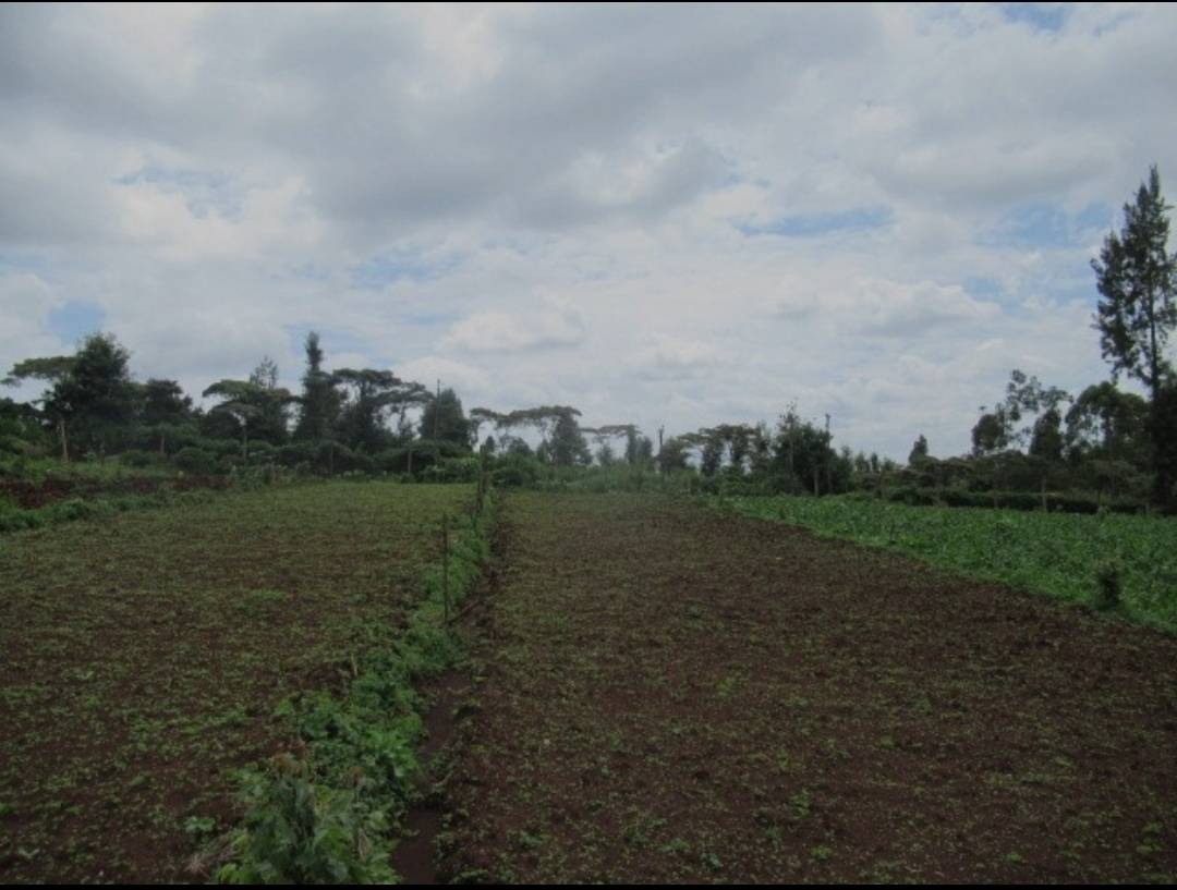 land in Ikeja, Lagos